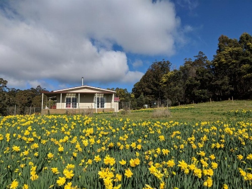 Mountain Blue Guest House image 25
